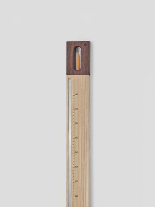 Wall ruler
