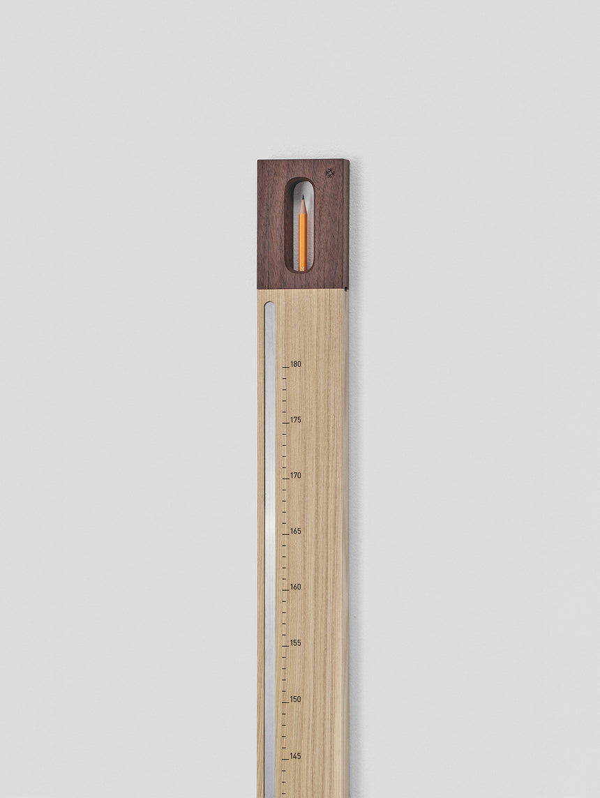 Wall ruler