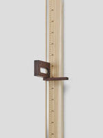 Wall ruler