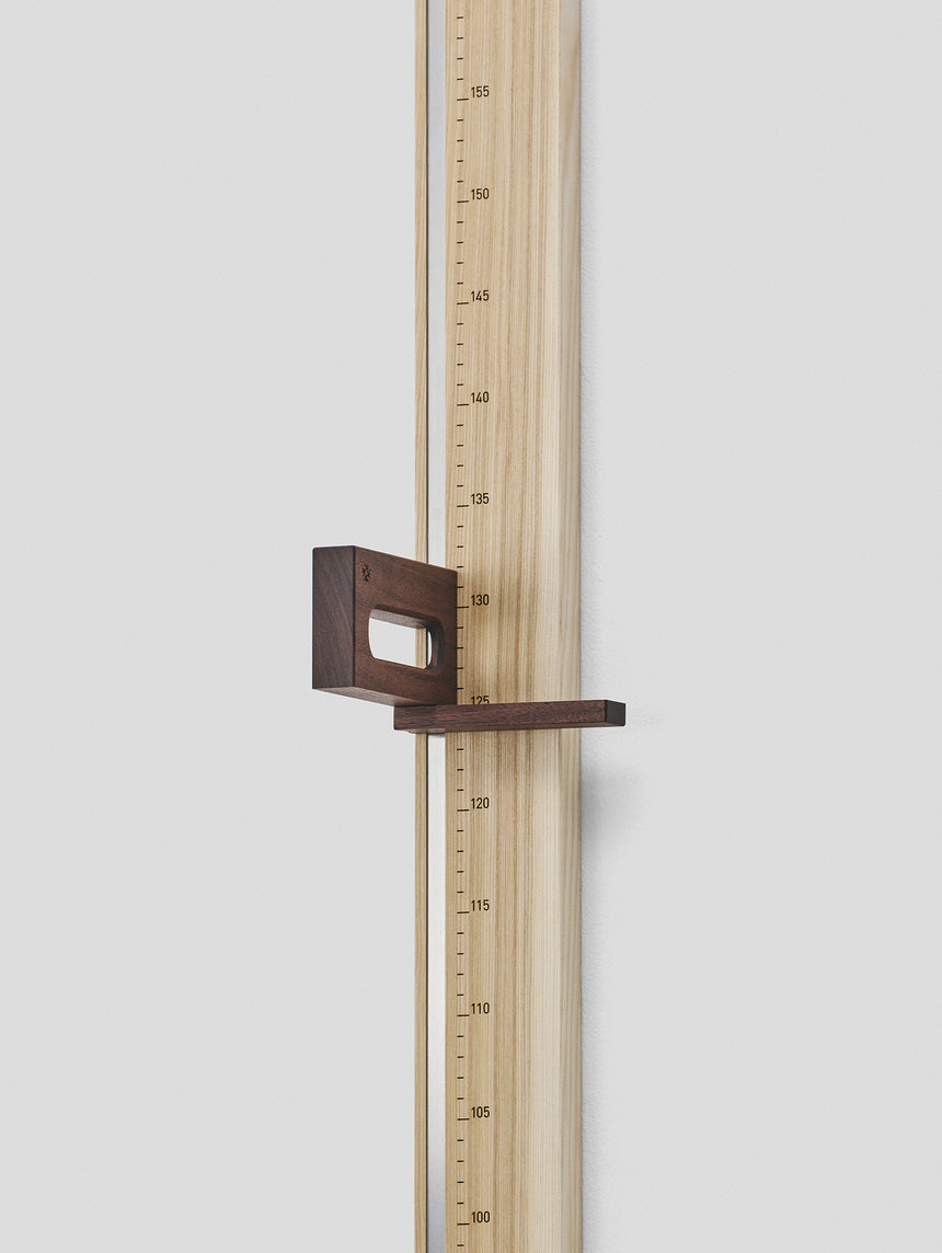 Wall ruler