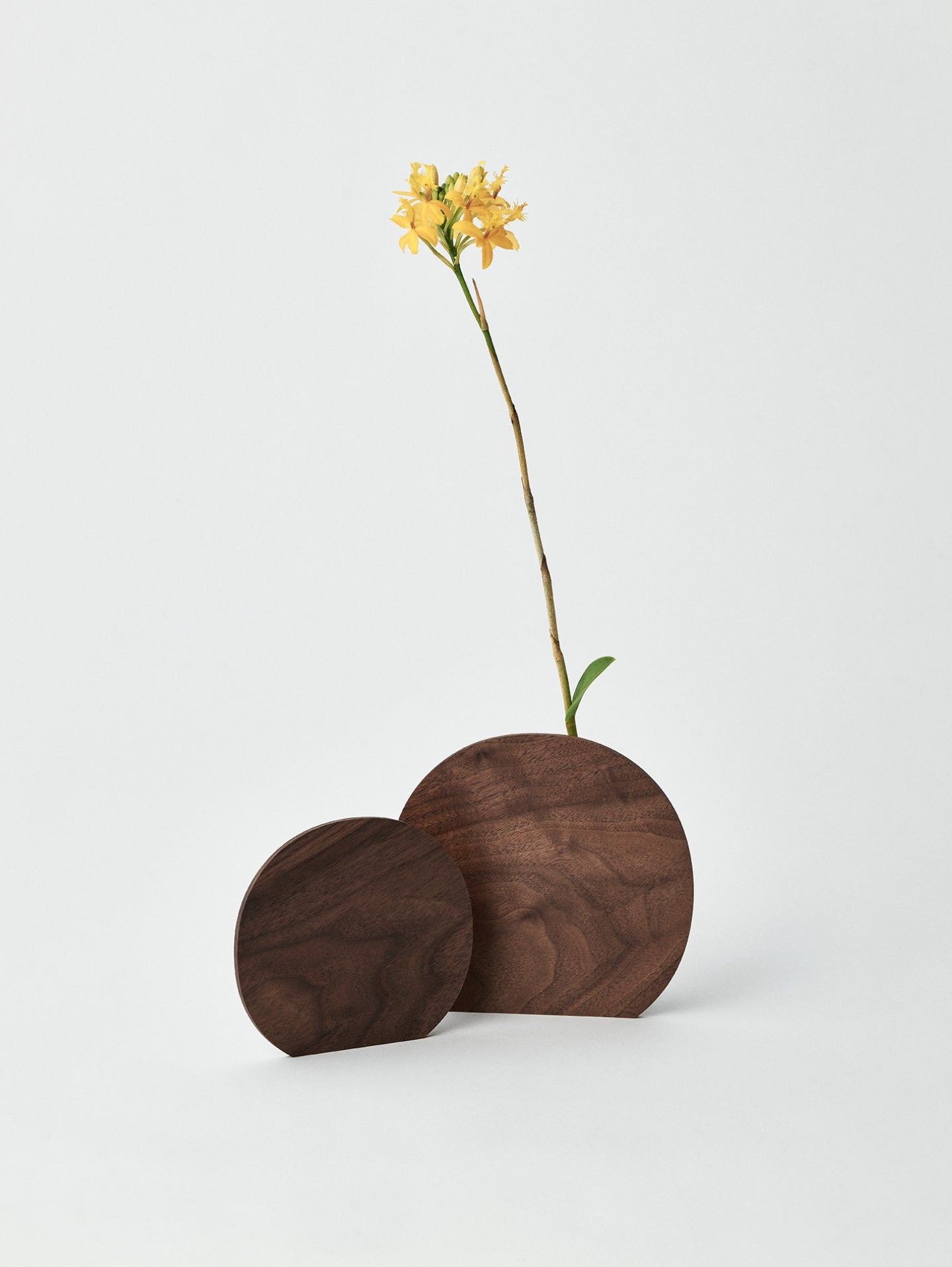 Palette vase – SASAKI